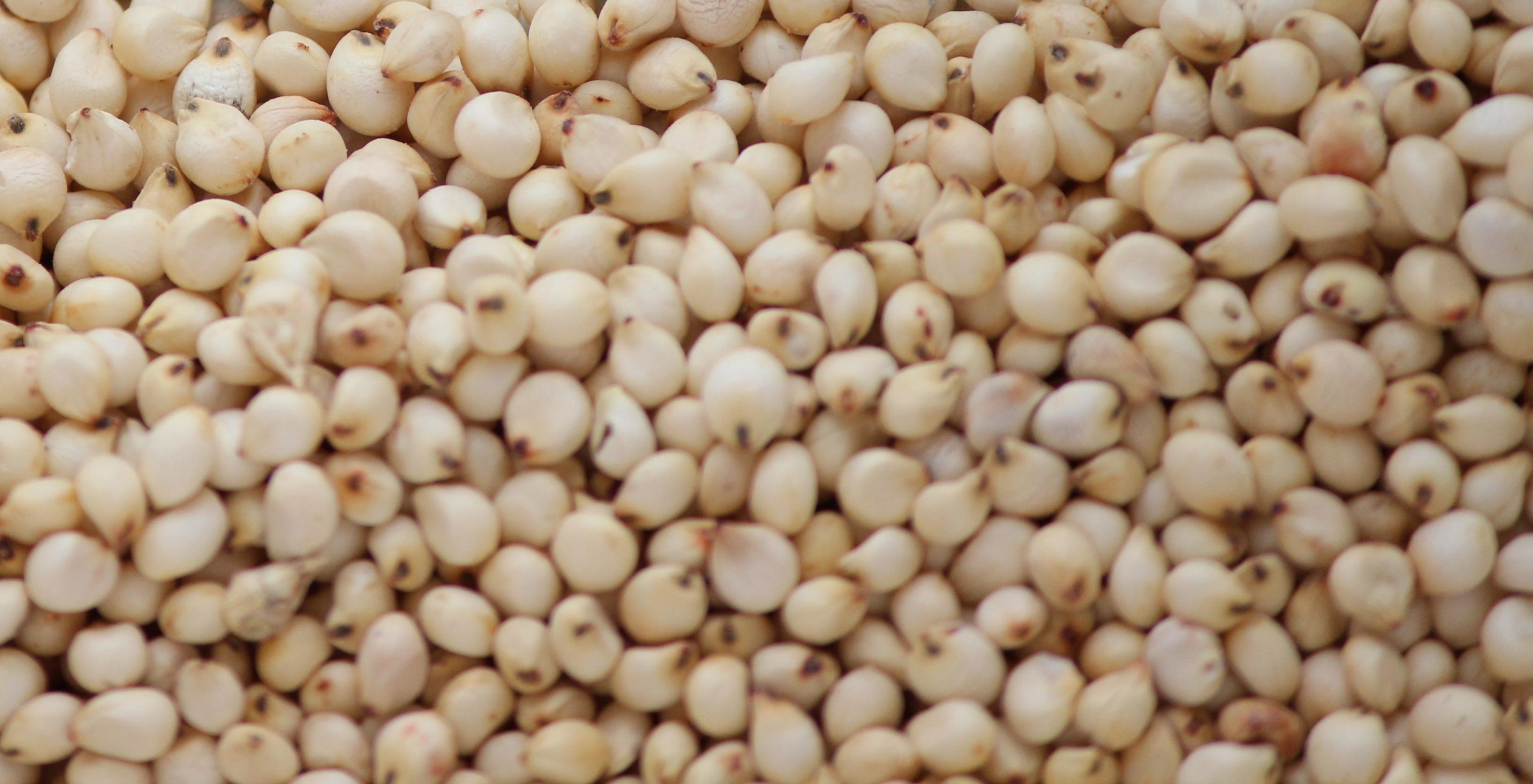 Cholam