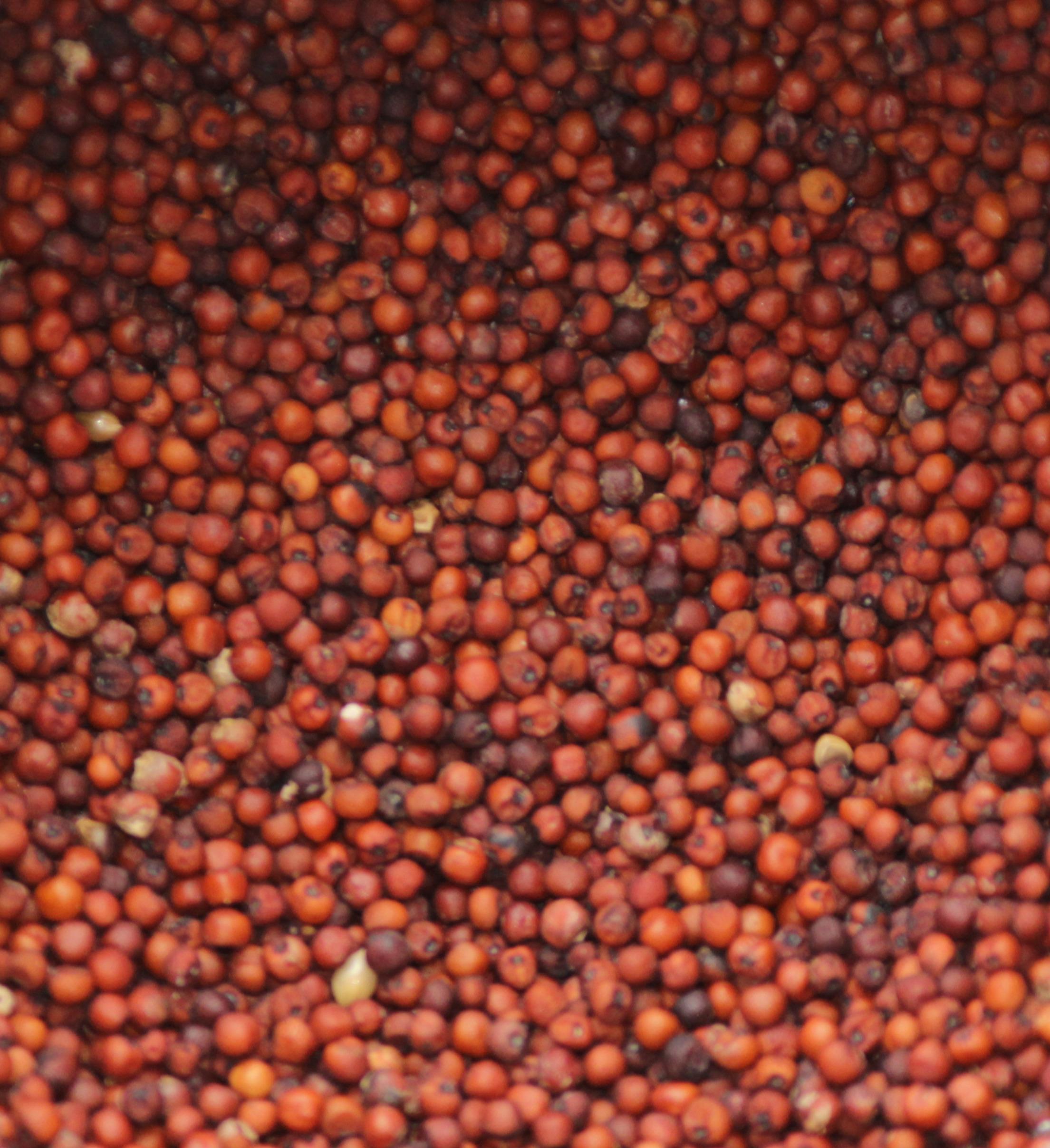 Ragi